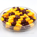 Customized Size 00 Empty Gelatin Printed Capsules